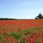 호텔 Reetdachhotel - Residenz Am Ostufer 3*