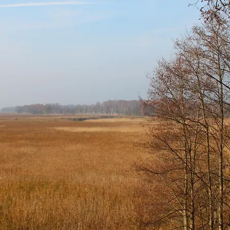 Hotell Reetdachhotel - Residenz Am Ostufer Boek