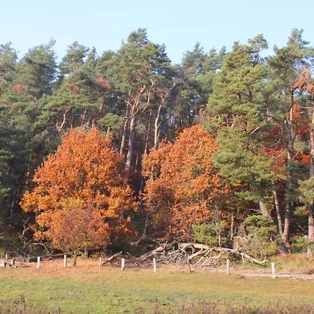 Reetdachhotel - Residenz Am Ostufer Hotel 3*