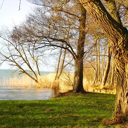 Hotel Reetdachhotel - Residenz Am Ostufer Boek