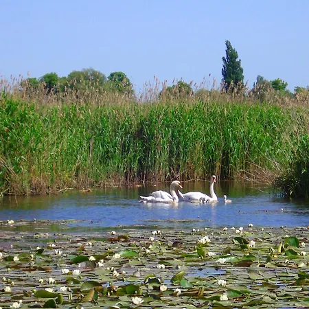 Reetdachhotel - Residenz Am Ostufer Hotel 3*