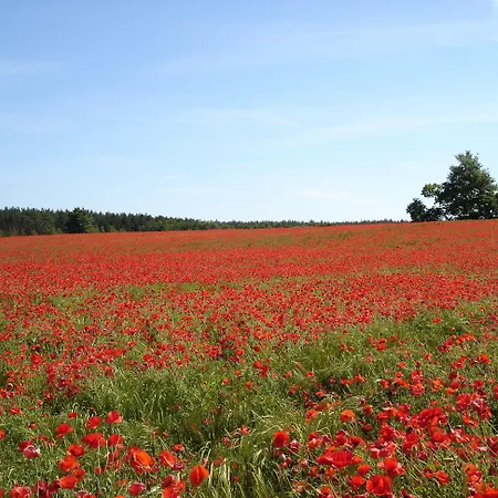 Hotell Reetdachhotel - Residenz Am Ostufer 3*