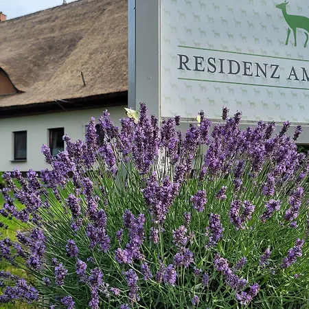 Reetdachhotel - Residenz Am Ostufer Otel