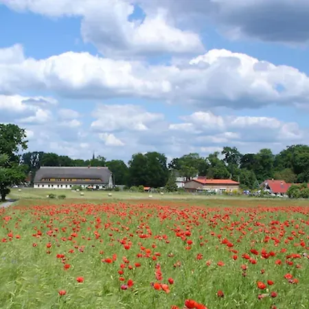 Reetdachhotel - Residenz Am Ostufer Hotel Boek