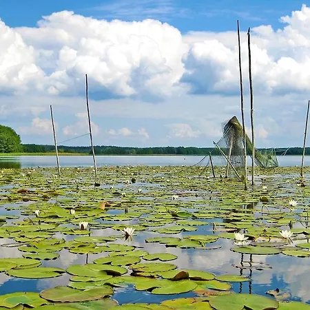 Reetdachhotel - Residenz Am Ostufer Boek